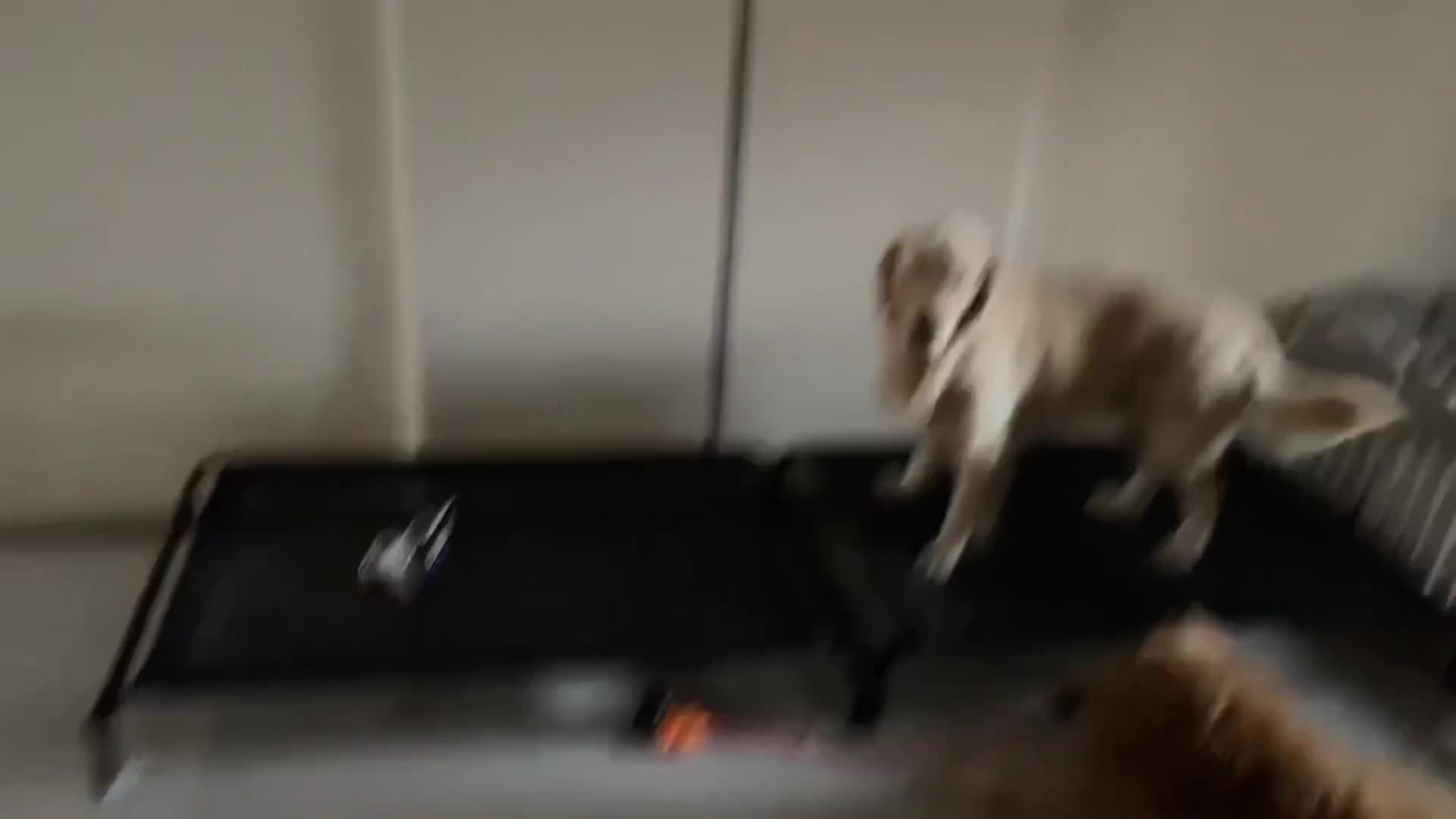 今天这怎么说？怎么说？