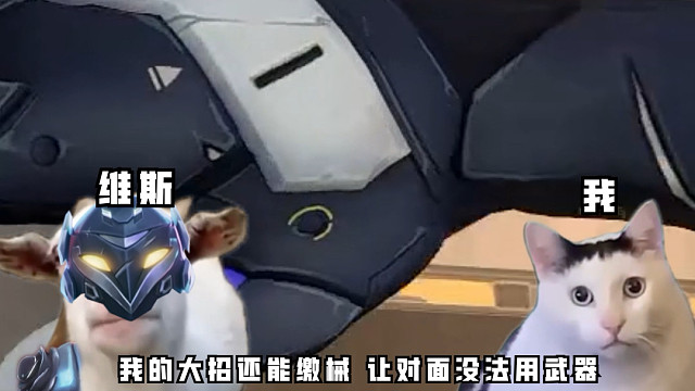 【猫meme】听说新英雄维斯大招很无敌！