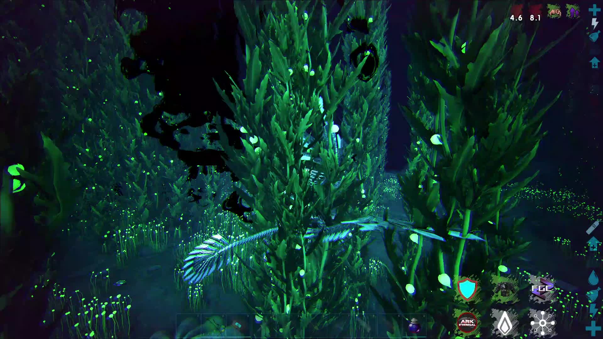 干票大的，抄服霸家（1）方舟外服永恒模组-2024.8.29