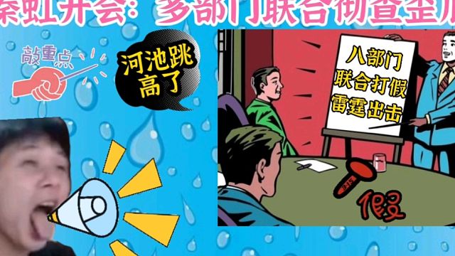 拳皇97：秦虹开会讲述，众多老板已经开始联合官方彻查外挂事件!