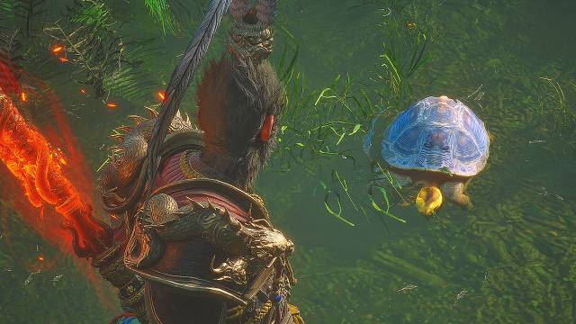 以防你不知道花果山也有动保协会 黑神话悟空