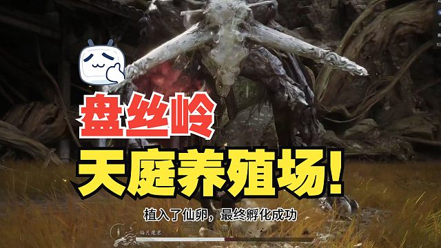 《黑神话》盘丝岭剧情解析，天庭做局，妖虫飞升！