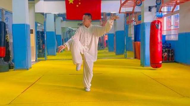 以拳悟道，知行合一！#太极 #日常训练 #想学太极的心达到了顶峰 #宜昌#太极拳