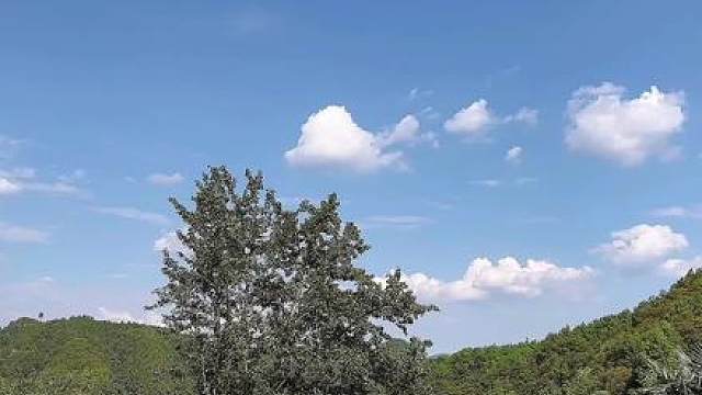 今天种了很多小葱，干完活做一锅麻辣鸡吃到饱 #美食 #农村生活 #记录生活