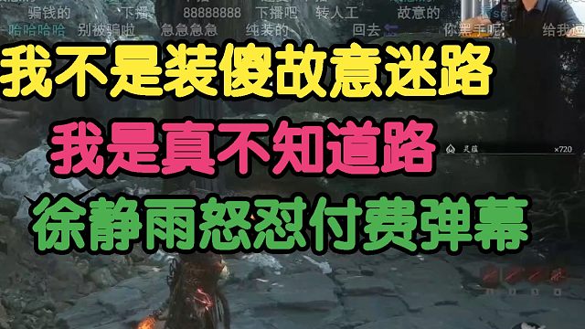 黑神话悟空：我不是故意迷路，我是真不知道路！徐静雨怒怼付费弹幕！