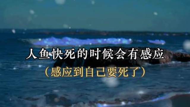 #配音 宝宝他怎么会不管你，他宁愿失去自己的生命也是要救你的呀
