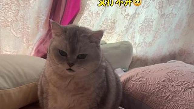 生胖气 又打不开