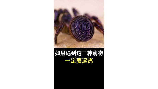 如果遇到这三种动物，一定要远离