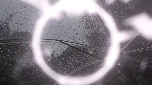 到点了，该emo了