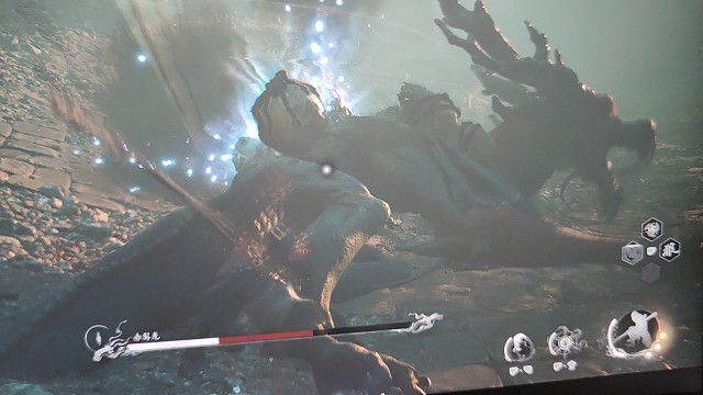 意外bug狂掏赤髯龙屁屁