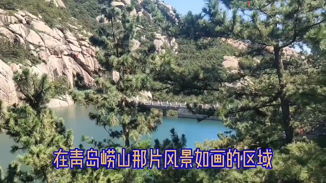 法律应该让打人者更疼