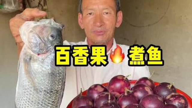 百香果煮鱼 这百香果煮鱼你们吃过吗？#百香果煮鱼    #美食 #记录我的农村生活 #支持三农扶持三