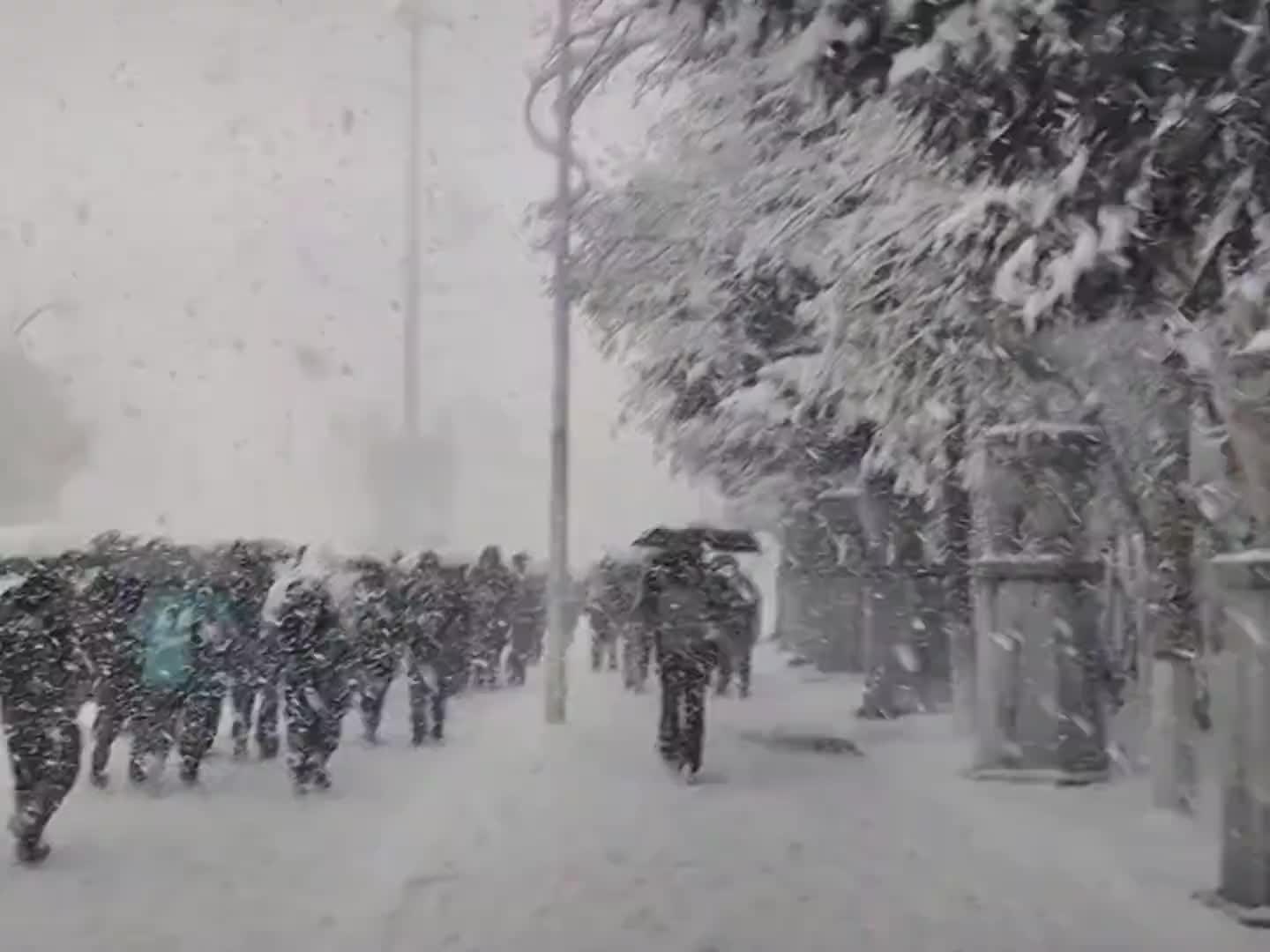 北方冬天下雪的快乐，严禁这样玩，因为我们南方人都没玩过