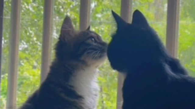 如果没抓拍到这一幕我真的会后悔