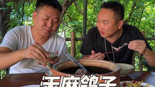 今天吃顿清淡的，天麻烧鸽子，味道真是不错！ #新农人计划2024 