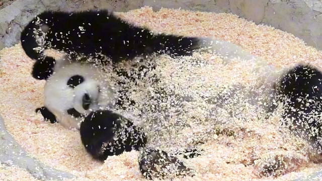 开学去哪玩？泉野欢迎您！