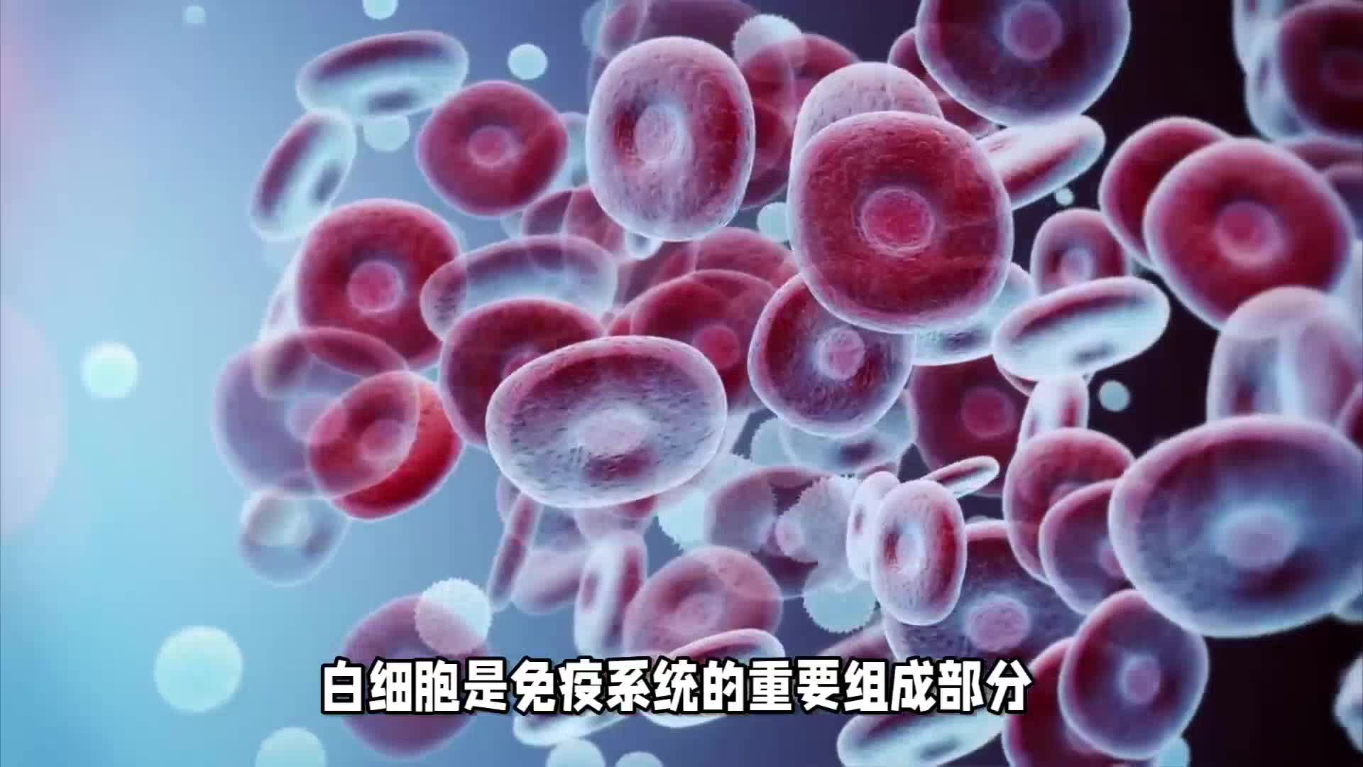 白细胞一直低，有什么方法补充吗