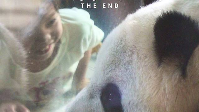 两位猫猫对小朋友和姨姨都毫无抵抗力