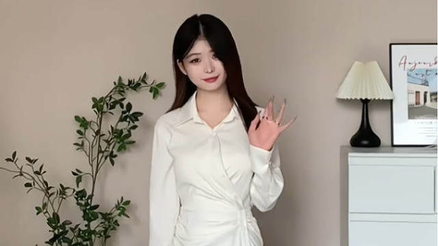 通勤天花板衬衫裙