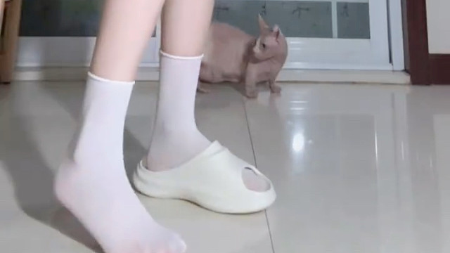 白色拖鞋也太奶了吧