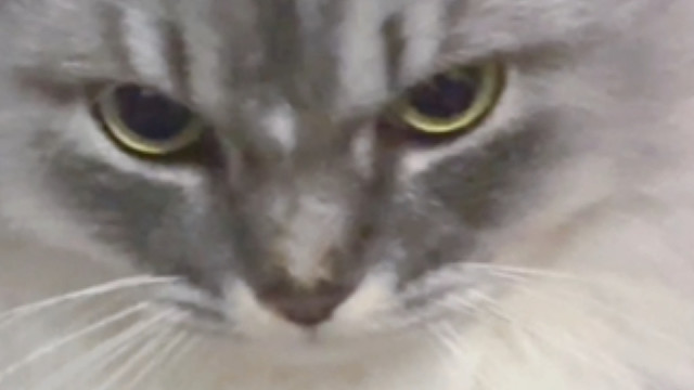 他回头了，果然还是担心我