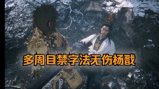 【安猫】禁字法多周目硬钢无伤杨戬！史上上限最高BOSS！30+小时的折磨，我终于给他拼无伤了！