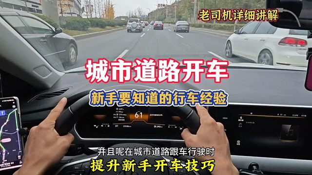 城市道路开车，新手一定要知道的行车经验，老司机详细讲解