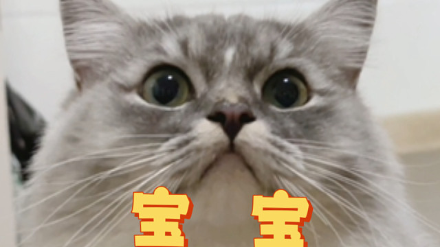 生气归生气，握手归握手