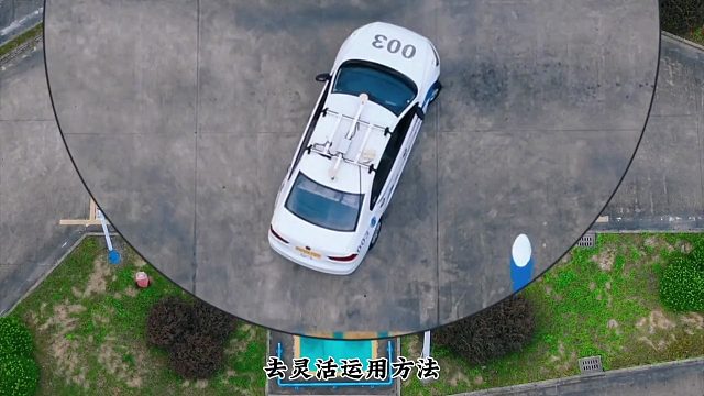 看菜鸟乐园，品百味驾考！#考驾照 #驾驶技巧 #学车的那些事 #科目二驾驶技巧 #驾考云飞哥