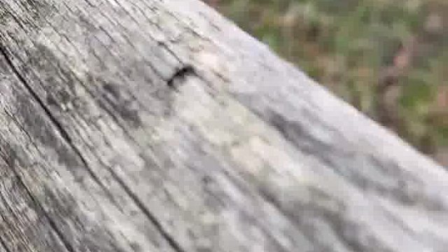 微距摄影的魅力……