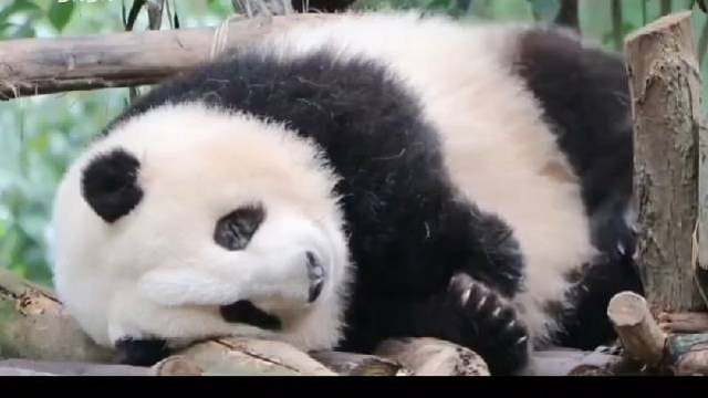 人生路上，遇见善良，学会付出;遇见微笑，学会分享;遇见坎坷，学会勇敢。对一些不要紧的小事一笑而过吧，