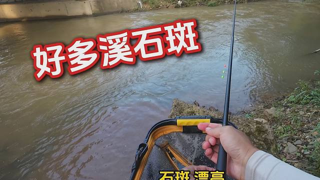 我是万万没想到，这么混的水还有这么多石斑，连得飞起，真过瘾！