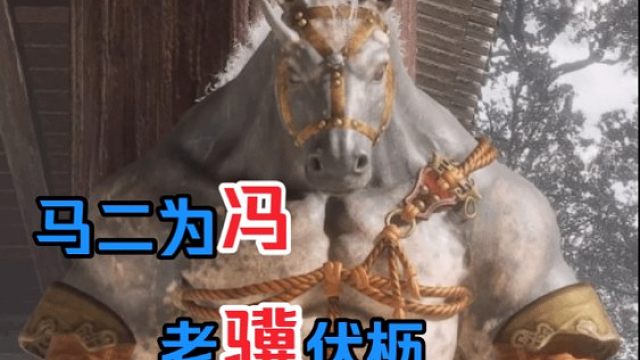 你真的了解马哥的剧情吗？