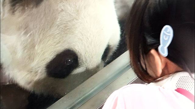 糟糕，是心动的感觉~