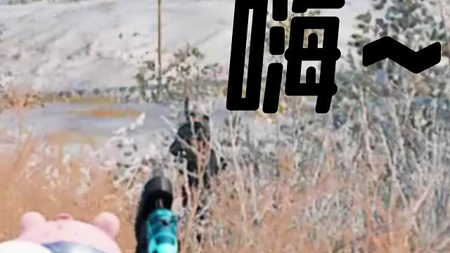 球球你们别六我了！！！