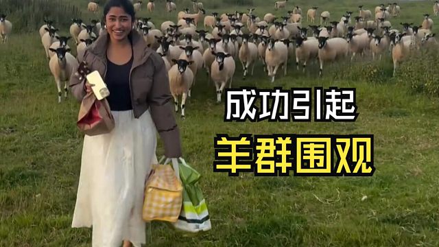 那些有爱的动物视频！