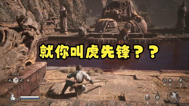 【毛天大圣】就你叫虎先锋？呵呵