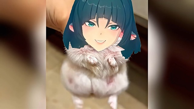 绝区零简的本体还会跳舞这太可爱了叭！