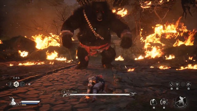 黑熊宝宝真可爱呢