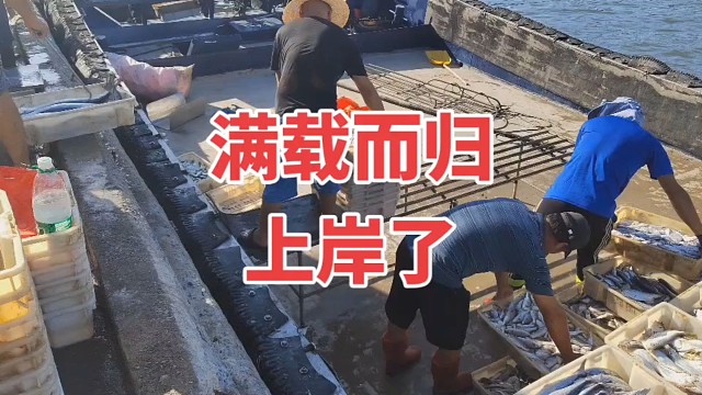 每天都是新鲜的海鲜