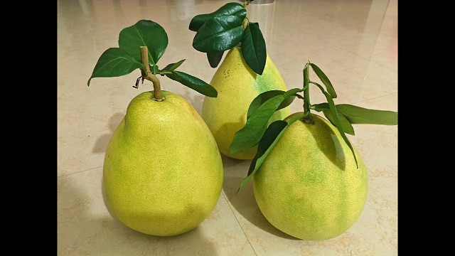 又是充实的一天#柚子