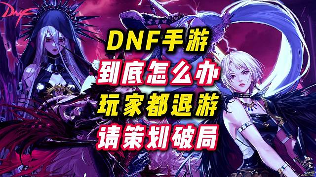 希望策划新版本能给大家一个全新的不一样的DNF手游，真的不希望游戏凉掉。