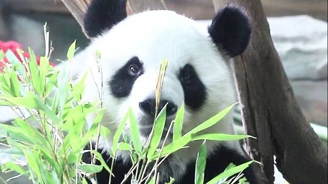 诶~刚刚好像忘了啥