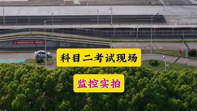 有卧龙必有凤雏： 小小的侧方位上躺下一个半……#驾驶技巧 #驾考云飞哥 #驾考一把过