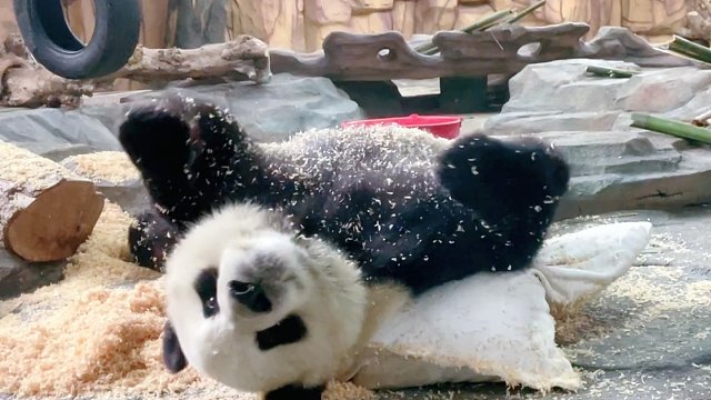 给我一包面包糠，我自己来做