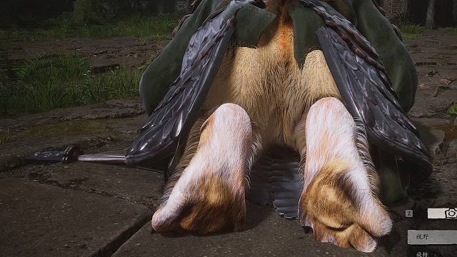 黑神话中小猫咪们肉垫都长啥样？