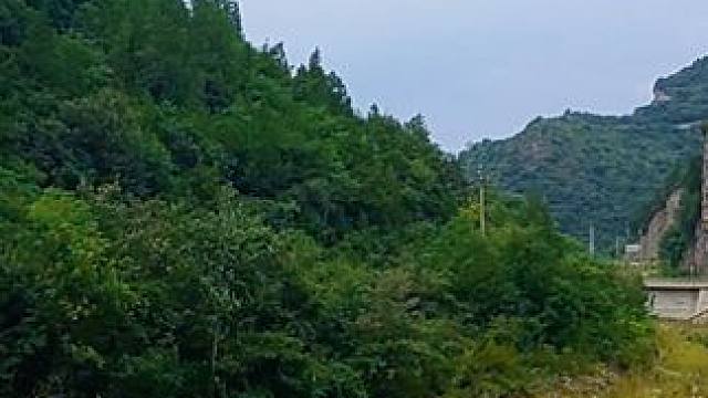 巩义大峡谷 #河南刚哥#志刚在路上#随拍