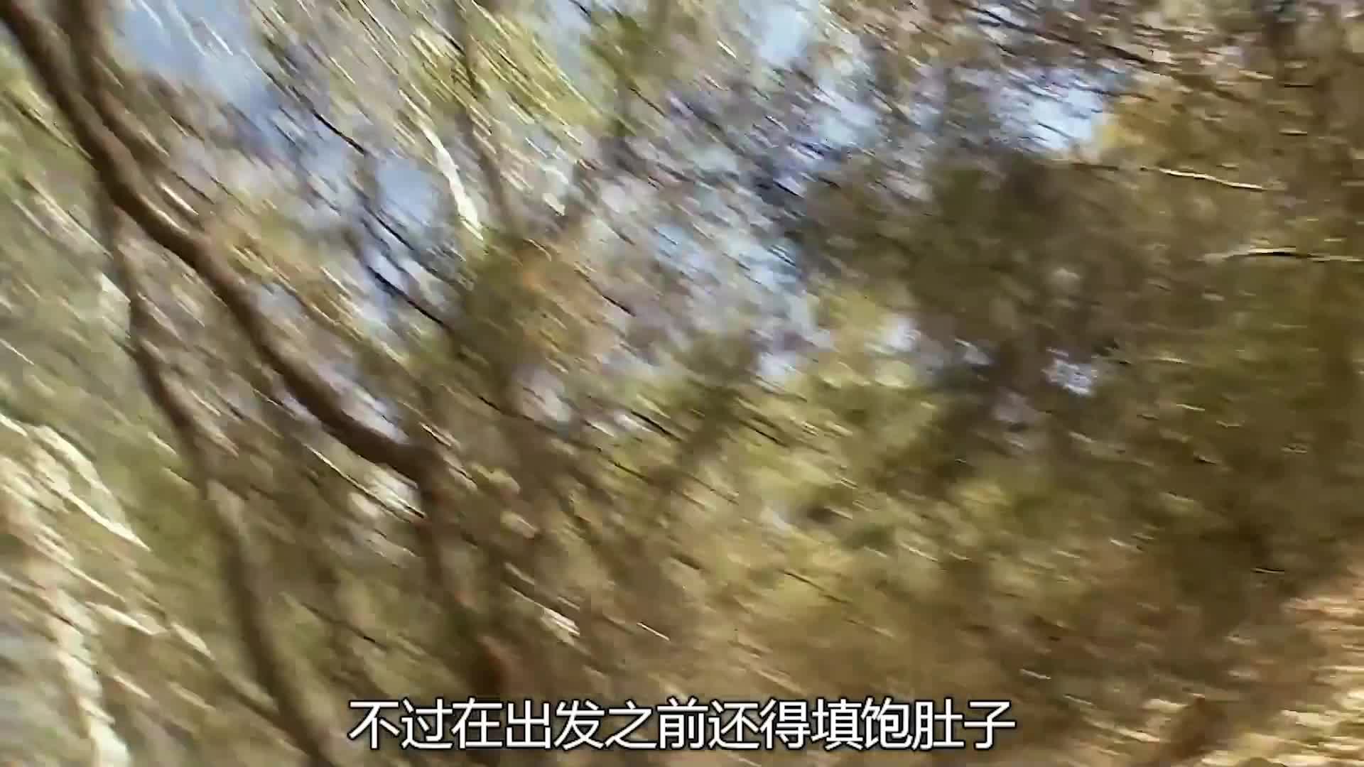 德子马达加斯加荒野求生  (2)