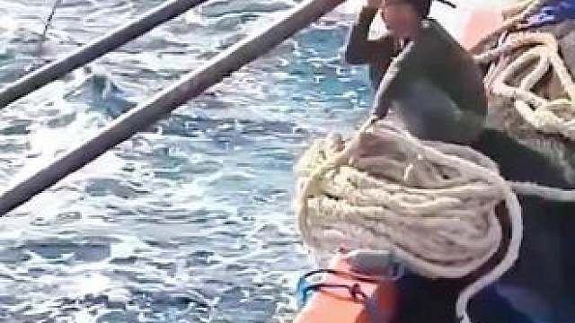 男人没有任何防护措施，直接抱着绳子跳进了大海。居然是为了捕捞一种珍贵的东西。#金枪鱼 #金枪鱼罐头 