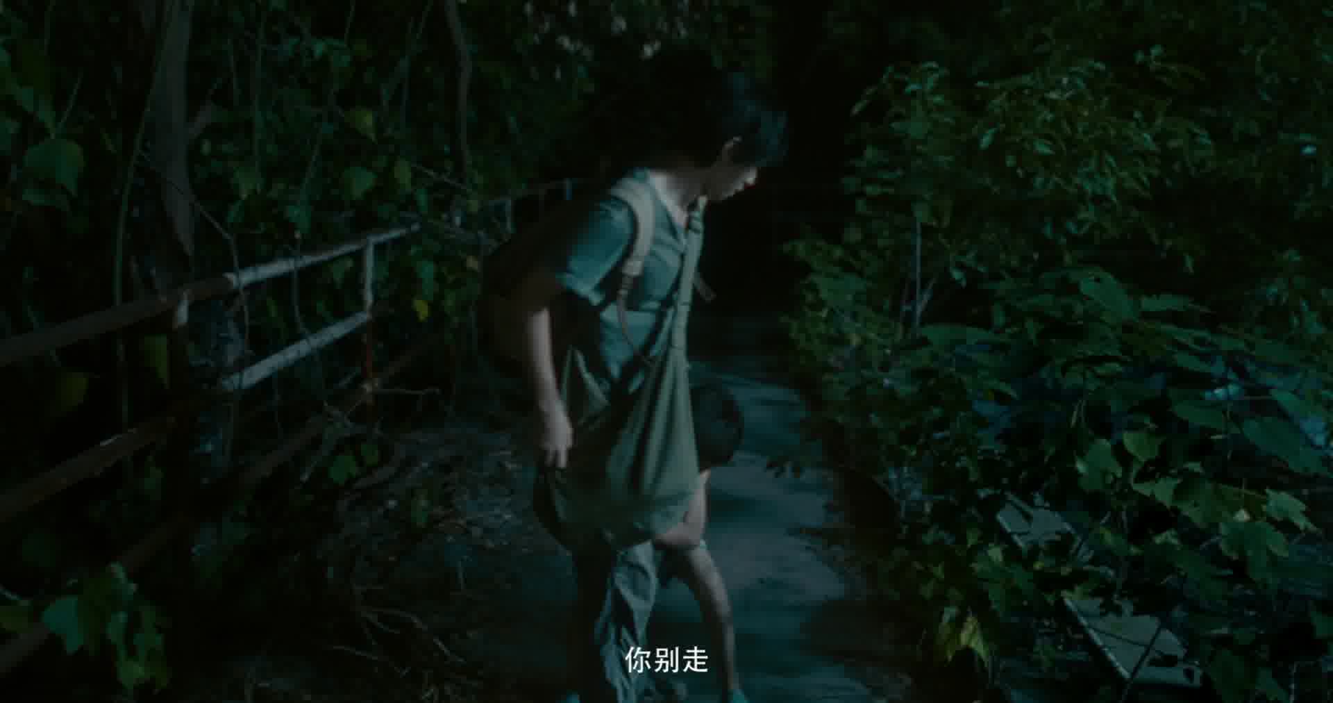 《野孩子》9.13档期15s预告